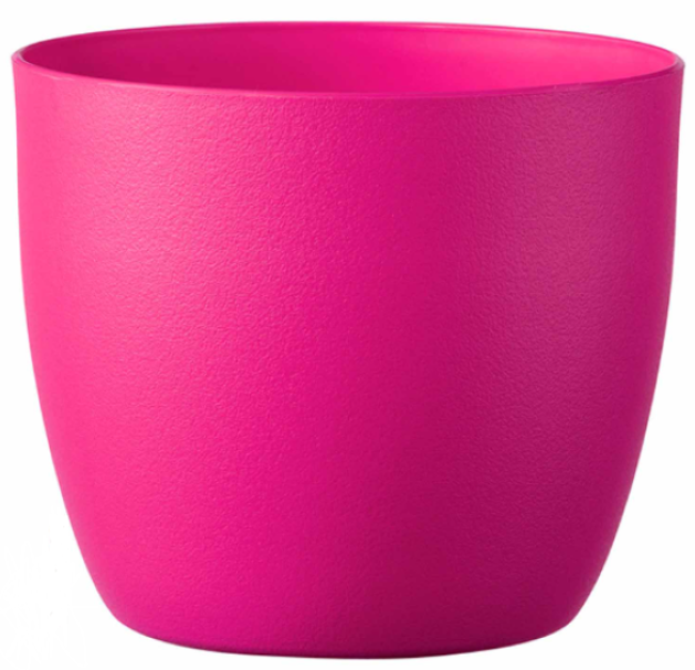 Caspo grass Deroma color fucsia dm 13cm