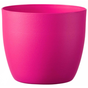 Caspo grass  color fucsia dm 15cm